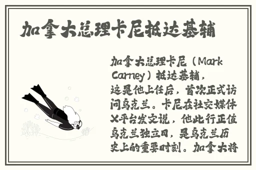 夜里十**用b站app网页版